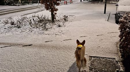 Nationwide snow and ice warnings; code orange in Limburg, Brabant