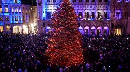 Don't Eat Your Christmas Tree, Warns Belgium Food Agency