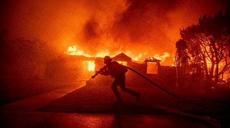 No Bulgarians injured in Los Angeles fires