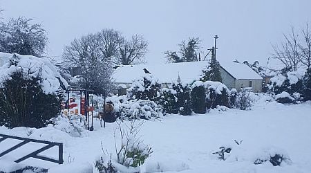 Weather Ireland: Temperature of -7.5 recorded amid warning for severe frost and ice