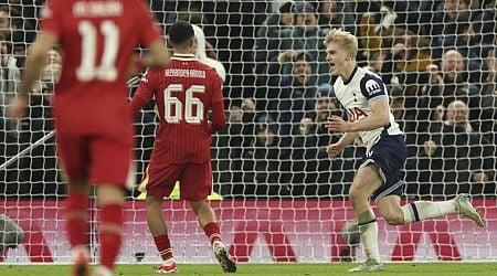 Tottenham beat Liverpool 1-0 in English cup semis after a serious injury and in-stadium ref call