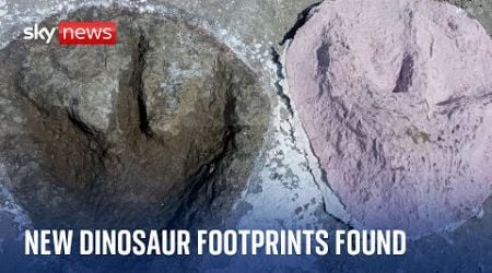 UK&#39;s biggest ever dinosaur footprint site found in Oxfordshire quarry