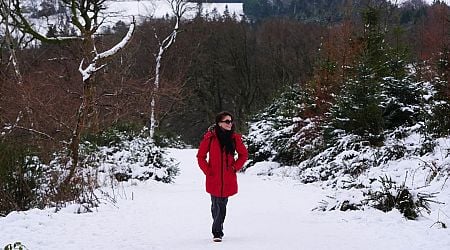 Ireland weather LIVE - Extra warnings expected as Met Eireann says coldest night yet on the way