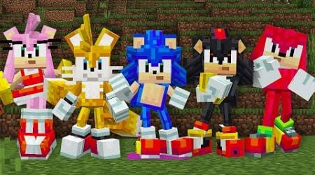 Sonic X Minecraft - All Character and Items (4K)