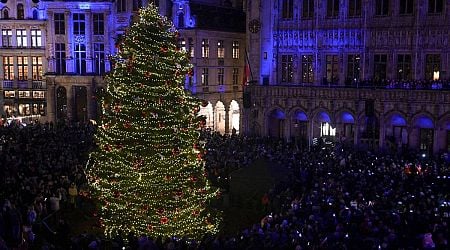 Sweden says Christmas tree needles safe to eat - after Belgian warning