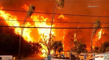 Structures Burn as Palisades Fire Explodes to 1,200+ Acres