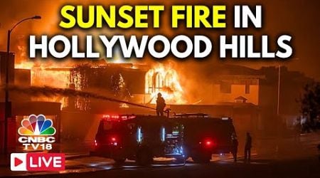 Hollywood Hills LIVE: Hollywood Consumed By Apocalypse Vibes as Wildfires Rage | Sunset Fire | N18G