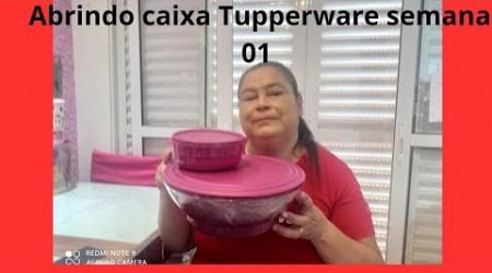 Abrindo caixa tupperware semana 01 da vitrine 01.