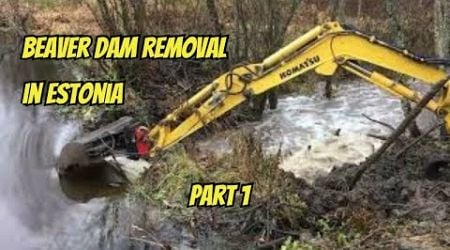 Epic Beaver Dam Excavator Showdown in Estonia! Part 1