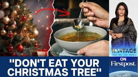 Christmas Tree Soup: Belgium, Are You Okay? | Vantage with Palki Sharma