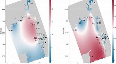 Blue mussels in the Skagerrak more diverse than previously thought