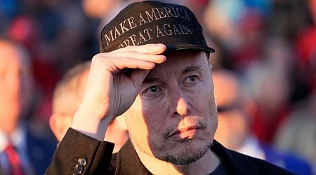 Elon Musk's AfD broadcast cleared up any doubts over his attitude to Germany's far right