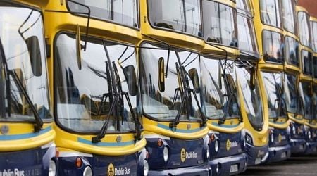 Dublin Bus rocked by allegations of racial abuse within its ranks in lawsuit