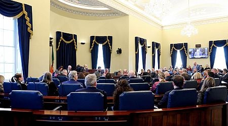 Fisheries organisation has a proposed Seanad nominee rejected for second election in a row