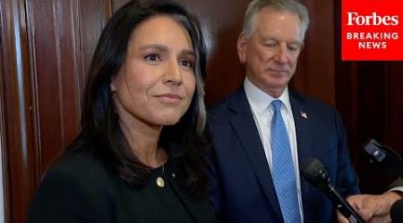 BREAKING NEWS: Tulsi Gabbard Speaks To Reporters About Recent Talk With Trump, Meeting With Dems