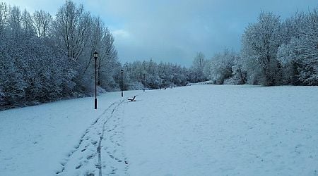 Met Eireann forecasts thaw as Ireland endures another freezing night with -6.6C recorded