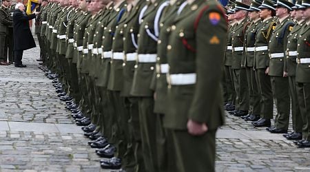 Irish Defence Forces should offer loyalty bonuses & follow Canadian military lead amid retention bid, soldier reps claim