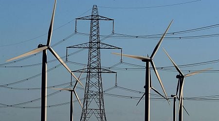 Share of electricity supplied by wind in Ireland falls due to grid constraints