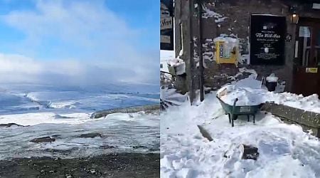 Staff finally leave 'snowed-in' pub after being stranded for days surviving on Malbec and sausages