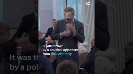 German FDP leader Lindner gets hit with foam pie during campaigning | DW news