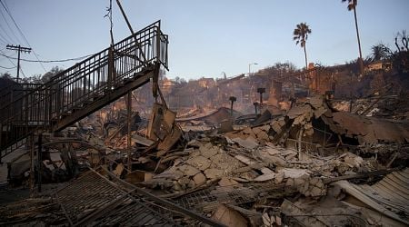 House of Bulgarian Family Burns Down in LA Wildfires 