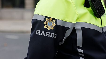 Man arrested in connection with multiple instances of romance fraud in Dublin 