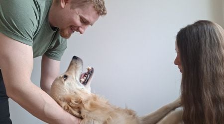 Dogs demonstrate ability to match voices to familiar humans