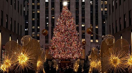 The Rockefeller Christmas Tree Is Repurposed After the Holidays. Here's How