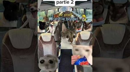 Le voyage scolaire partie 2 #humour #drole #sketch #catmemes