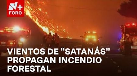 Incendio forestal en Los Angeles: La ciudad enfrenta &quot;las peores circunstancias&quot; para combatirlo