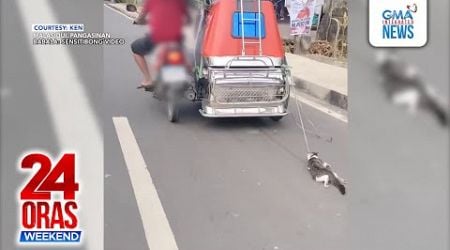 Pusang nakakaladkad dahil nakatali sa tricycle, nasagip; animal rights advocates...| 24 Oras Weekend