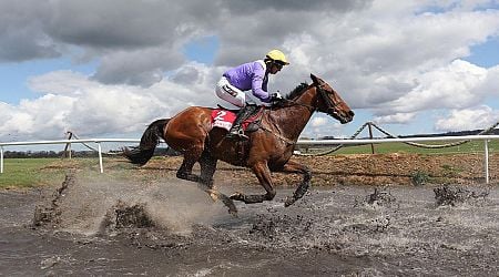 Willie Mullins-trained Cheltenham legend dies