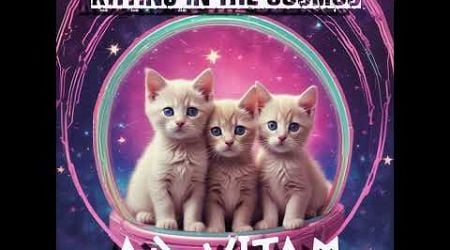 Ad Vitam &amp; R E N ft. The Kittins in the Cosmos - Kittins in the Cosmos Theme (AD VITAM House Remix)