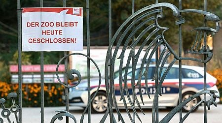 Animal lockdown, two zoos closed and 200 pigs culled in Germany