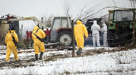 Animal transports banned in German region after foot and mouth disease detected