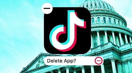 TikTok says it would 'go dark' in the US this month if Supreme Court doesn't intervene