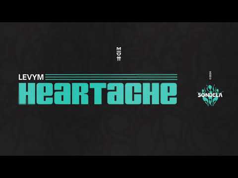 LevyM feat. Kash Neeve - Heartache