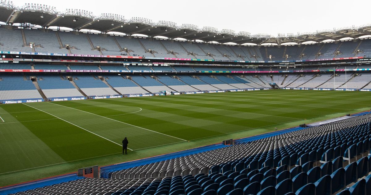 Leinster v Northampton ticket frenzy makes Croke Park Champions Cup semi-final poised to sell out