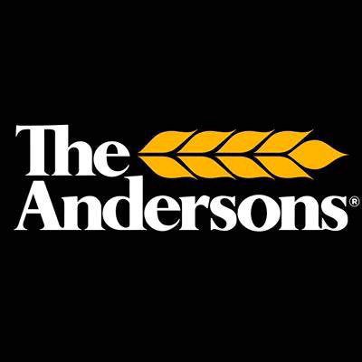 Andersons Inc (ANDE) CEO Patrick Bowe Sells Company Shares