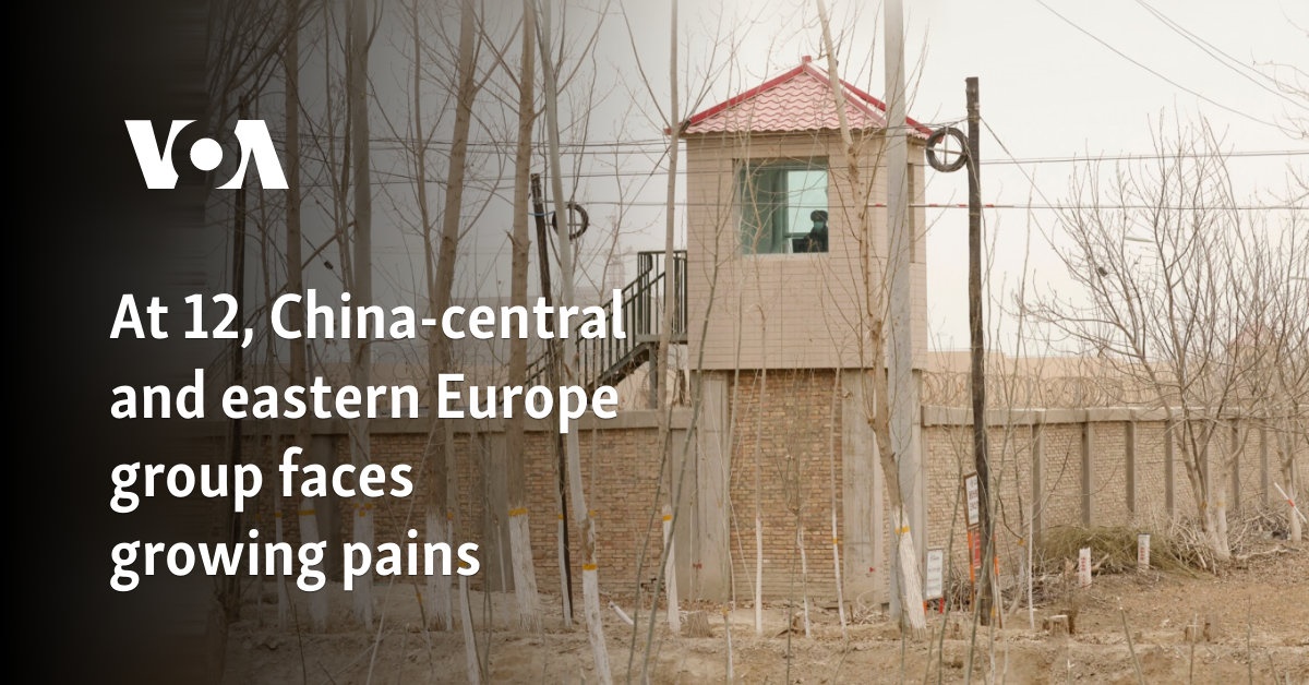 At 12, China-central and eastern Europe group faces growing pains