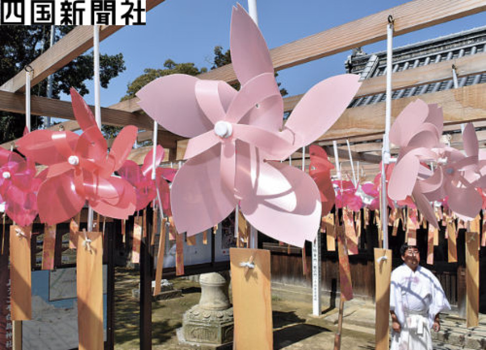666 handmade cherry blossom pinwheels at Kagawa shrine bear visitors' hopes