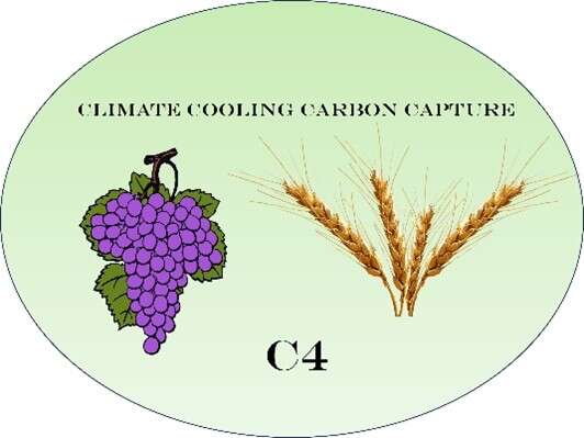 Delicious Carbon Capture