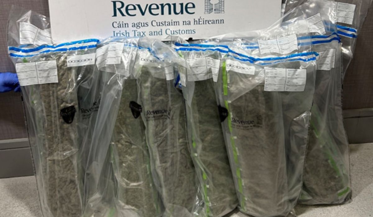 Detector dog Sam sniffs out cannabis concealed in vacuum-packed packages at Dublin Airport