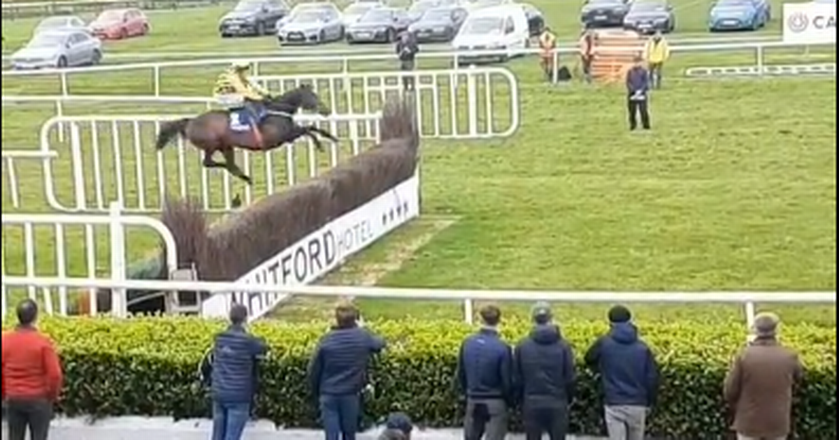 Racing fans stunned how Paul Townend-ridden horse gets over fence after early jump