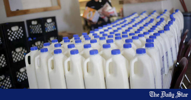 Pasteurised milk 'safe' from bird flu: US officials