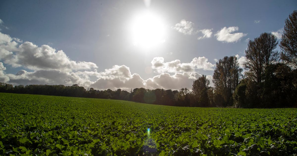 Promising signs for Bank Holiday weekend weather ahead of major shift in temperatures