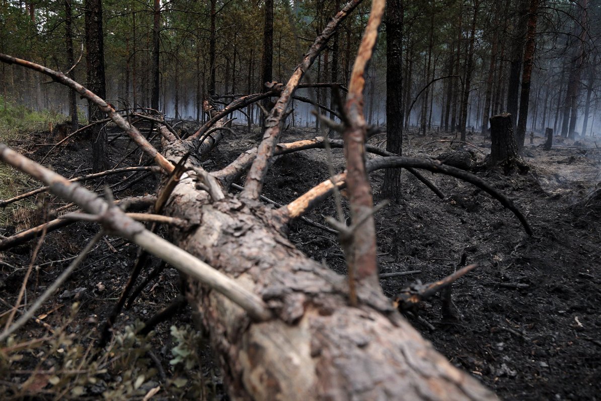 Fire hazard season begins in Latvian forests
