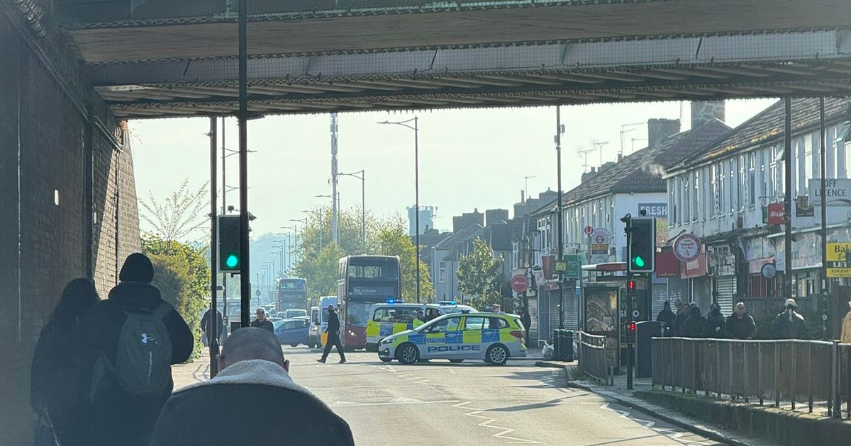 Reports of 'stabbings' as man with sword attacks members of public and police near London tube station 