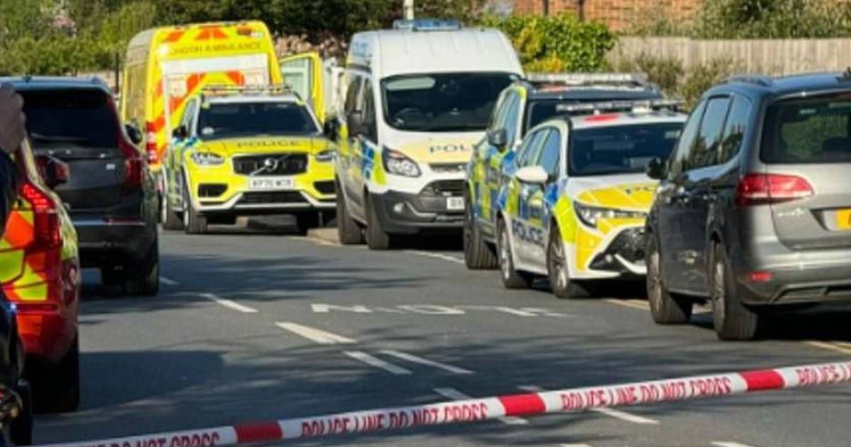 London attack: Boy (13) killed in stabbings incident as sword-wielding suspect arrested