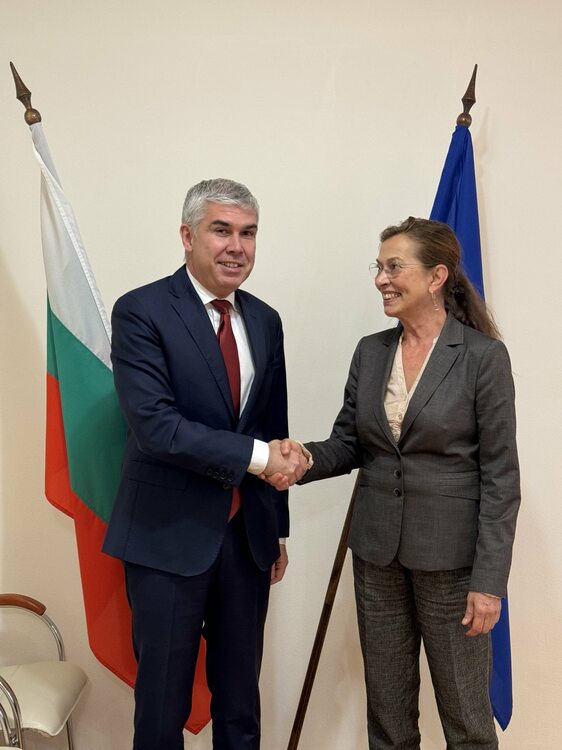  Caretaker Energy Minister Malinov Confers with Ambassadors of Azerbaijan, Germany